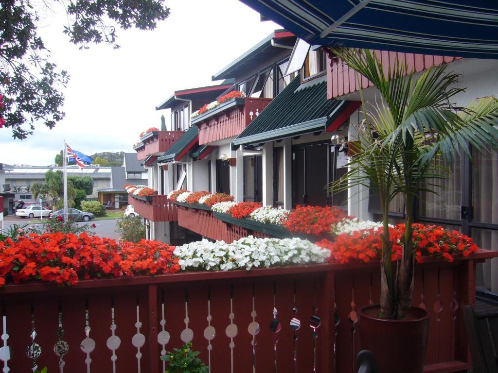 Swiss Chalet Lodge Motel Paihia Bilik gambar